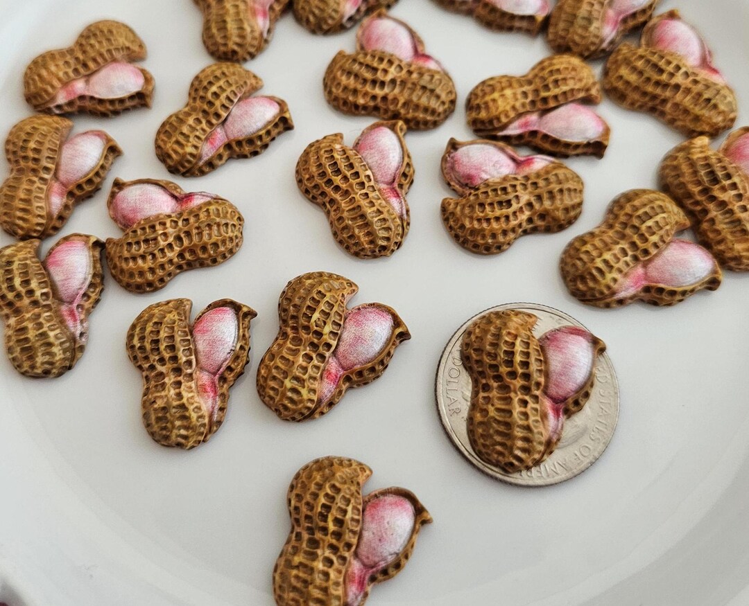 ARTIFICIAL SHELL PEANUTS - Etsy