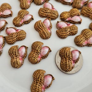 May include: A collection of 15 miniature peanut shaped resin embellishments. Each peanut is painted in a realistic style with a brown shell and a pink interior.