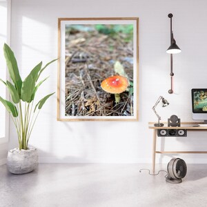 Amanita Mushroom Photo - Landscape Photography Print, Mississippi Wall Art, High Quality Nature Print, Wall Decor, Beautiful Landscape Photo