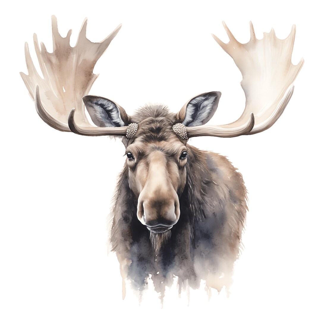 4x Moose Stickers Majestic Car Decals Wilderness Nature Vinyl ...