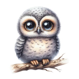 Peut inclure: Illustration à l'aquarelle d'un adorable hibou aux grands yeux expressifs. Le hibou, aux plumes grises et blanches, est perché sur une branche brune sur fond blanc. Ses grands yeux bleus et son aspect duveteux lui donnent un air attachant.