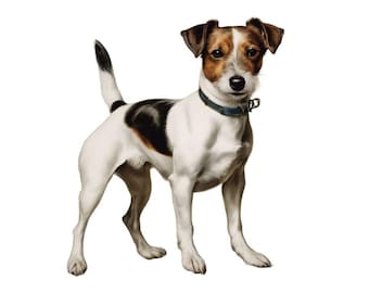 Jack Russell Terrier Car Sticker – Weatherproof Dog Sticker for Car Window Laptop – Gift Idea for Terrier Fans & Dog Lovers