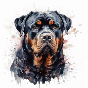 Naklejka na samochód Rottweiler Naklejka z psem