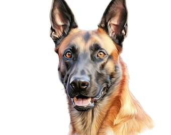 Belgian Malinois Car Sticker – Weatherproof Dog Sticker for Car Window Laptop – Gift Idea for Malinois Lovers & Fans