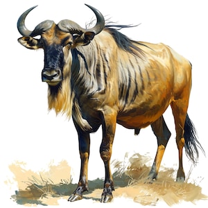 May include: A detailed illustration of a wildebeest, showcasing its distinctive features. The animal has a dark mane, a long beard, and curved horns. Its coat is a mix of tan and brown, with vertical stripes on its sides. The wildebeest stands on a patch of dry grass.