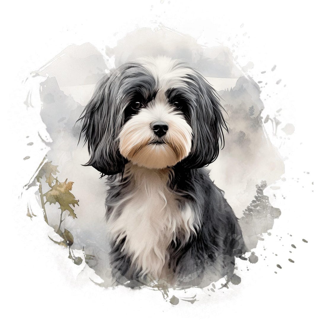 Havapoo Sticker 2X Havanese Car Stickers – Weatherproof Dog Stickers for Car Window ...