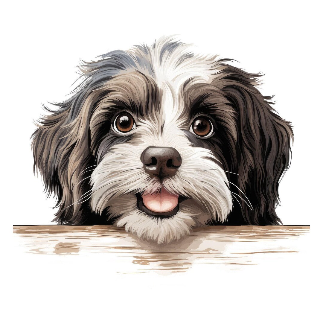 Havapoo Sticker 2X Havanese Car Sticker Dog Sticker Set Colorful Weatherproof for Car ...