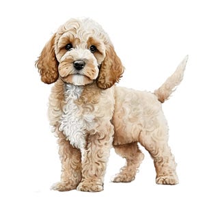 Waterverf Cockapoo Hond Auto Sticker, Leuke Vinyl Sticker voor Auto of Raam, Weerbestendig en UV-bestendig, Cadeau