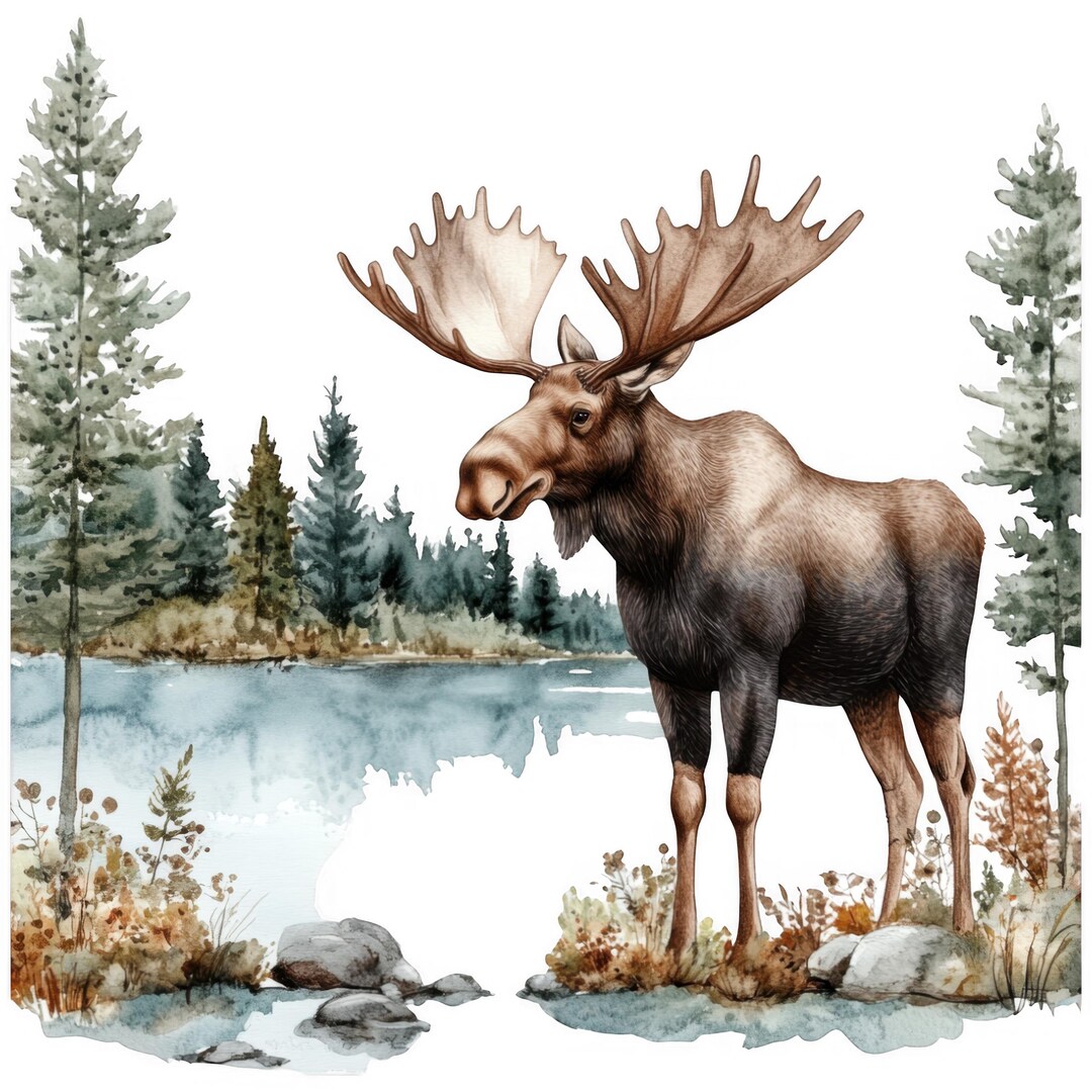 Moose Sticker Set Multipack Watercolor Car Stickers 9 X 9 Cm Woodland ...