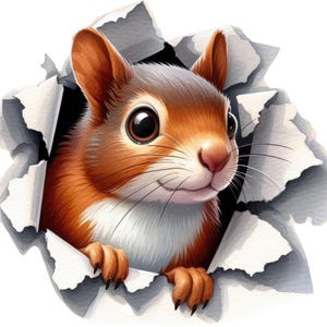 Eekhoorn Sticker Muursticker Auto Sticker 3D Effect Dierendecoratie voor Kinderkamer Auto Laptop