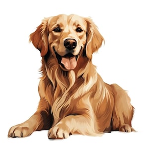 Golden Retriever Car Sticker – Weatherproof Dog Sticker for Car Window Laptop – Gift Idea for Retriever Fans & Dog Lovers