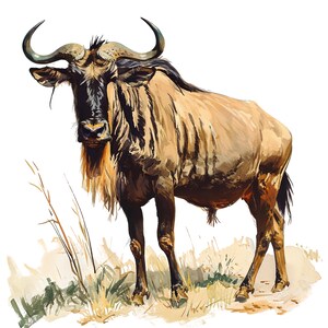 May include: Watercolor illustration of a wildebeest. The animal has a tan coat, a black mane, and large, curved horns. It stands in a grassy area with a white background. The artwork has a painterly style with visible brushstrokes.