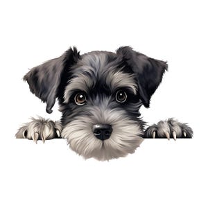 May include: A digital illustration of a Schnauzer puppy with a black and gray coat, brown eyes, and a fluffy white beard. The puppy is peeking over a white surface, showcasing its paws and adorable face.