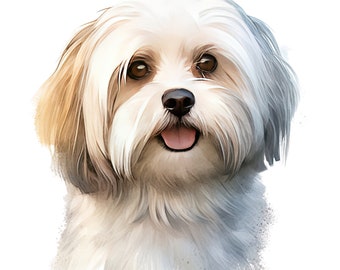 Havanese car decal dog sticker