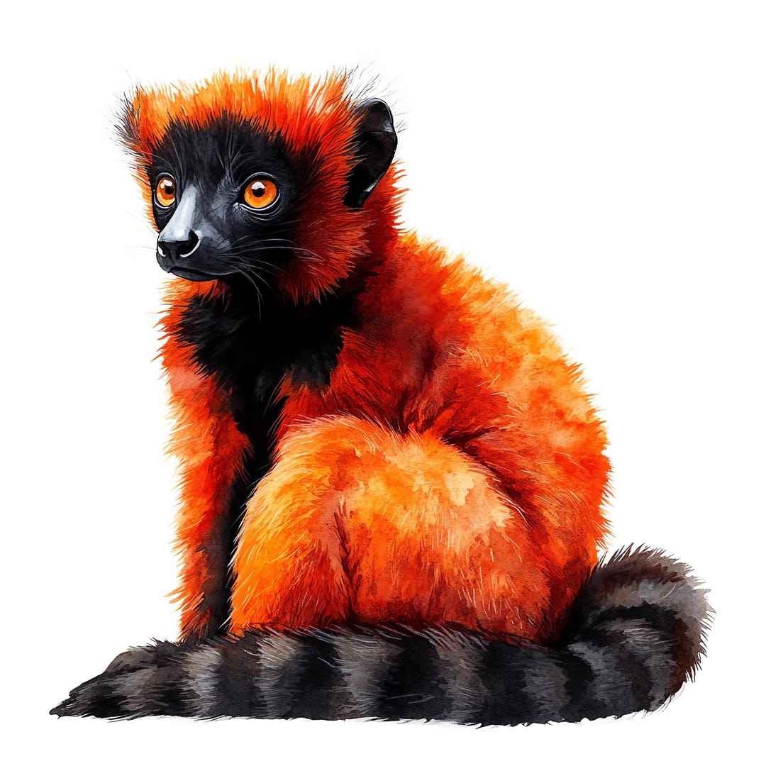 5X Red Lemur Stickers Car Decals Exotic Madagascar Vari Animal ...