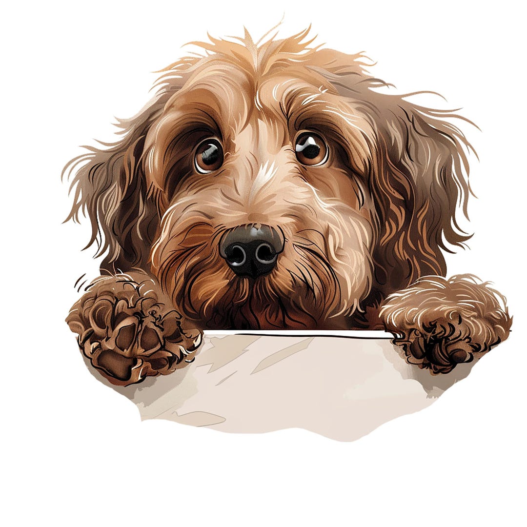 Cockapoo Dog Car Sticker – Weatherproof Dog Sticker for Car Window ...