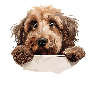 Cockapoo Hund Auto Aufkleber – Wetterfester Hunde Sticker für Auto Fenster Laptop – Geschenkidee für Cockapoo Fans & Hundefreunde