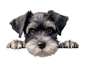Miniature Schnauzer Car Sticker – Weatherproof Dog Sticker for Car Window Laptop – Gift Idea for Schnauzer Fans & Lovers