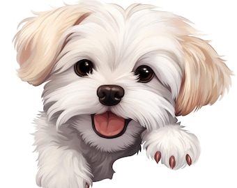 Maltese Car Sticker – Weatherproof Dog Sticker for Car Window Laptop – Gift Idea for Maltese Fans & Lovers