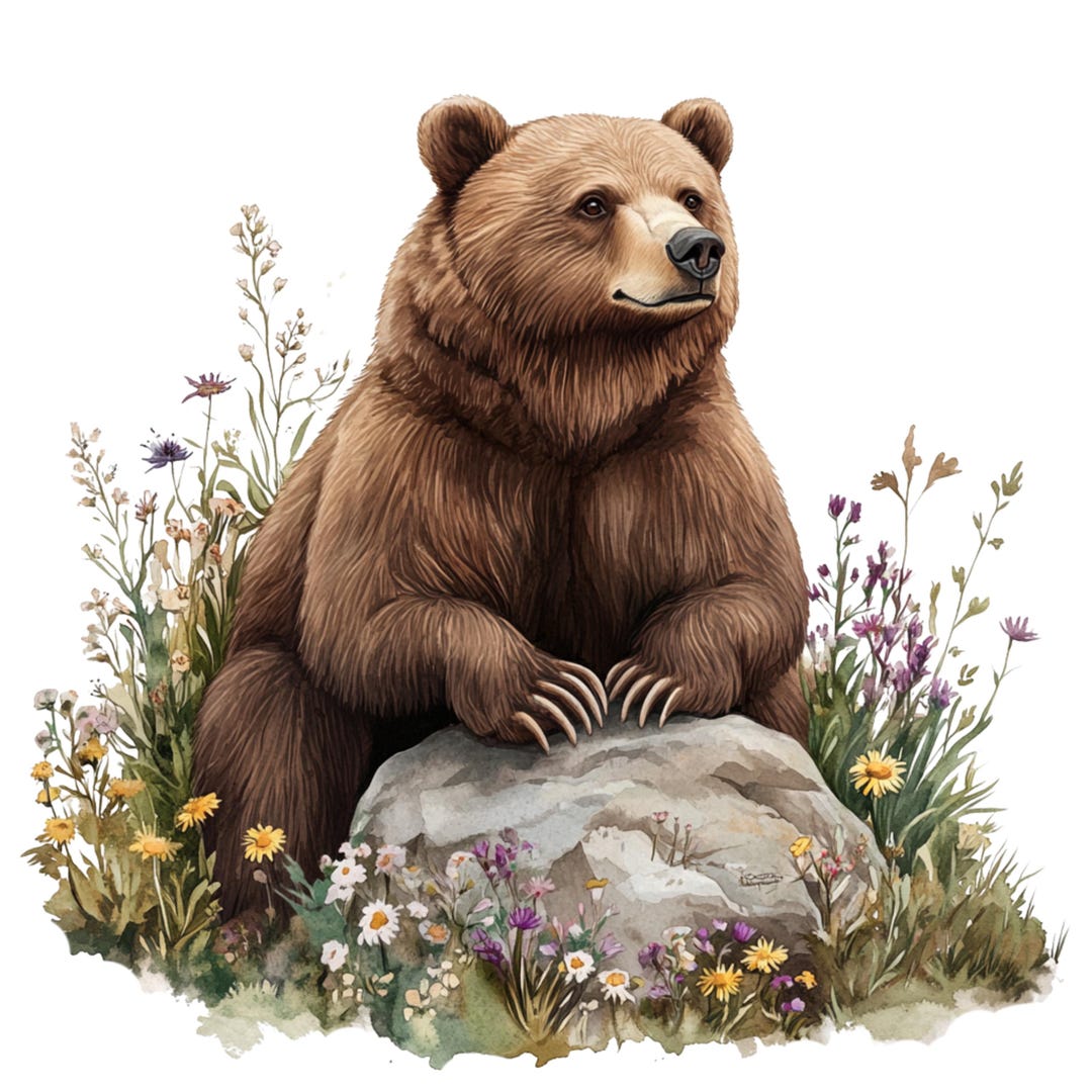 4X Bear Sticker Set, 4 Pieces, Watercolor Car Stickers, Forest Animals ...