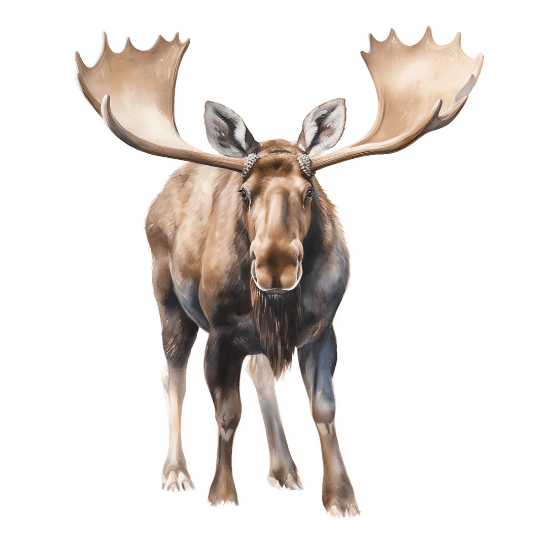 4x Moose Stickers Majestic Car Decals Wilderness Nature Vinyl ...
