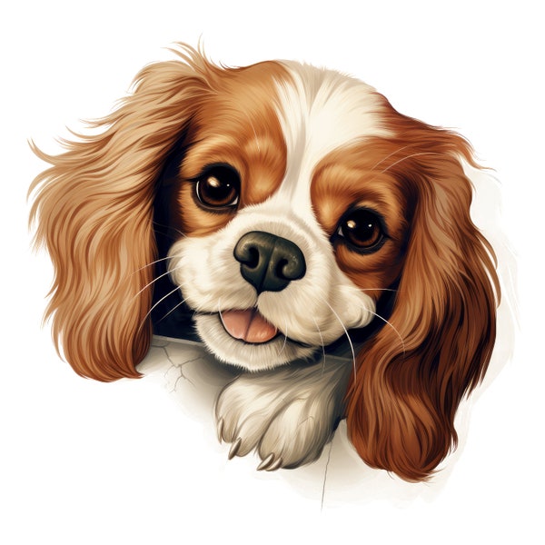 Cavalier King Charles Spaniel  Auto Aufkleber Hunde Sticker