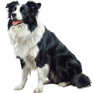 2X Border Collie Car Sticker Dog Sticker Set Weatherproof Colorful for Car Window Laptop Wall Gift Idea for Border Collie Fans