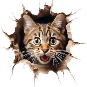 Funny 3D Cat Car Stickers (Multipack 9 x 9 cm) – Waterproof and Scratch-Resistant | Animal Sticker Set | Vinyl Hole Effect | Gift for Cat Lovers