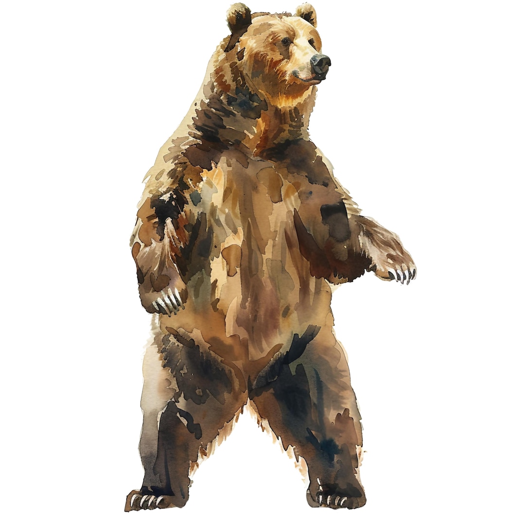 5X Grizzly Bear Stickers Realistic Bear Car Stickers Wilderness Nature ...