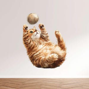 Crazy Surprise Cat Sticker – Funny Cat as Wall Decal & Car Sticker