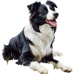 Pegatina para coche de Border Collie