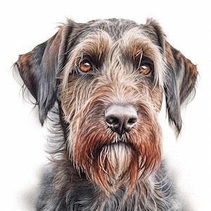 2 pegatinas para coche de Braco Alemán de Pelo Duro, resistentes a la intemperie y coloridas, para ventana, portátil y pared, ideal como regalo para amantes de los perros de caza.
