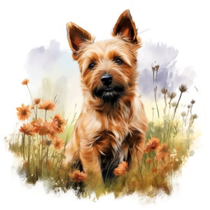 Pegatina para coche de perro terrier australiano