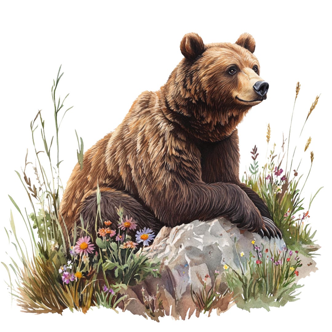 4X Bear Sticker Set, 4 Pieces, Watercolor Car Stickers, Forest Animals ...