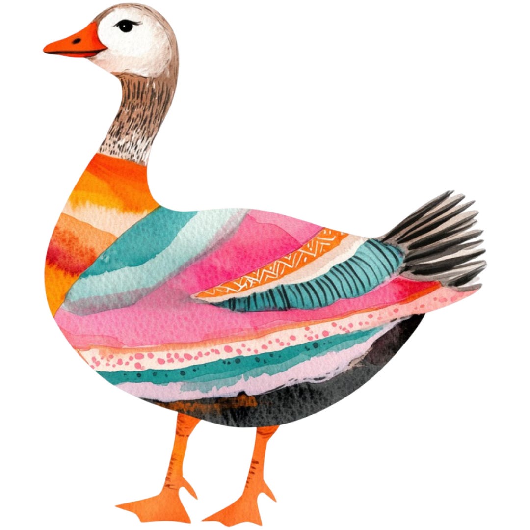 5x Car Stickers Colorful Goose (multipack) – Waterproof for Car ...