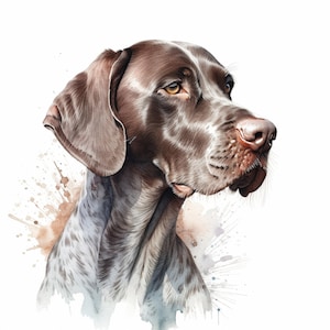 Pegatina para coche de Braco Alemán de Pelo Corto: Pegatina impermeable para ventana y portátil. Idea de regalo para aficionados a los perros de caza y amantes de los perros de pelo corto.