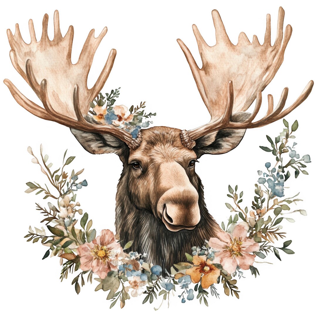 Moose Sticker Set Multipack Watercolor Car Stickers 9 X 9 Cm Woodland ...