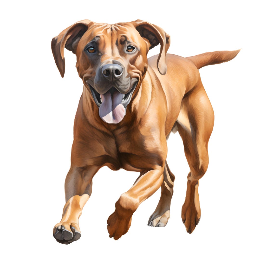 4X Rhodesian Ridgeback Stickers Car Stickers Dog Lion Dog Vinyl ...