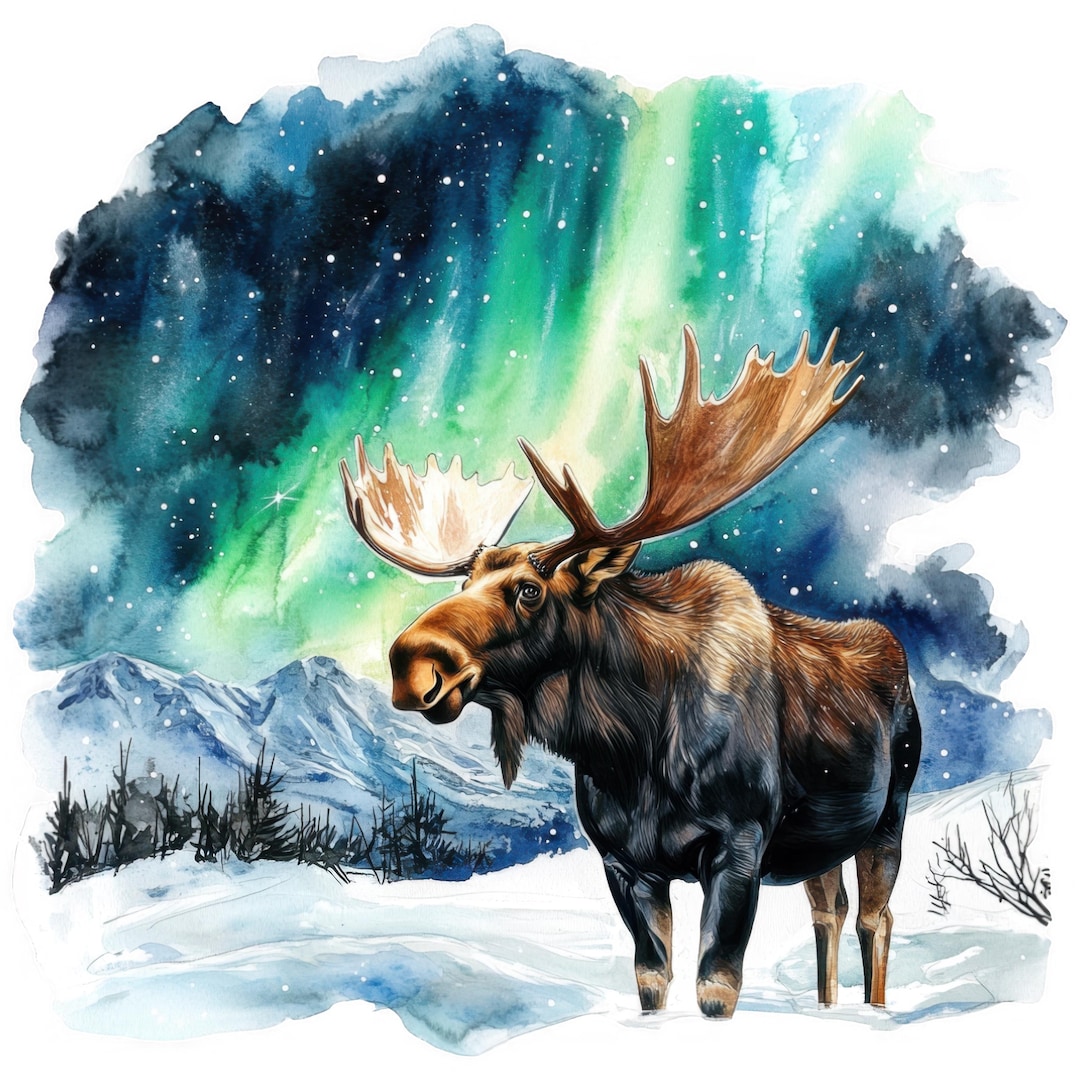 Moose Sticker Set Multipack Watercolor Car Stickers 9 X 9 Cm Woodland ...