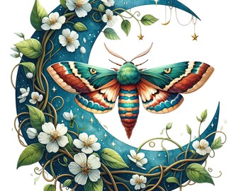 5x Moth-klistermärkesset (5 delar): Moth-bilklistermärken, mystisk insektvinyl, vattentät dekoration