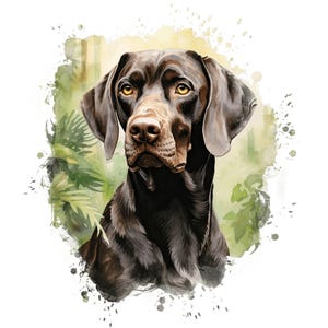 Pegatina para coche de Braco Alemán de Pelo Corto: Pegatina impermeable para ventana y portátil. Idea de regalo para aficionados a los perros de caza y amantes de los perros de pelo corto.