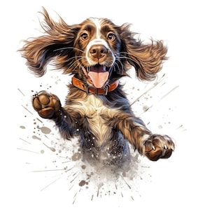 Adesivo de cachorro com decalque de carro Springer Spaniel inglês