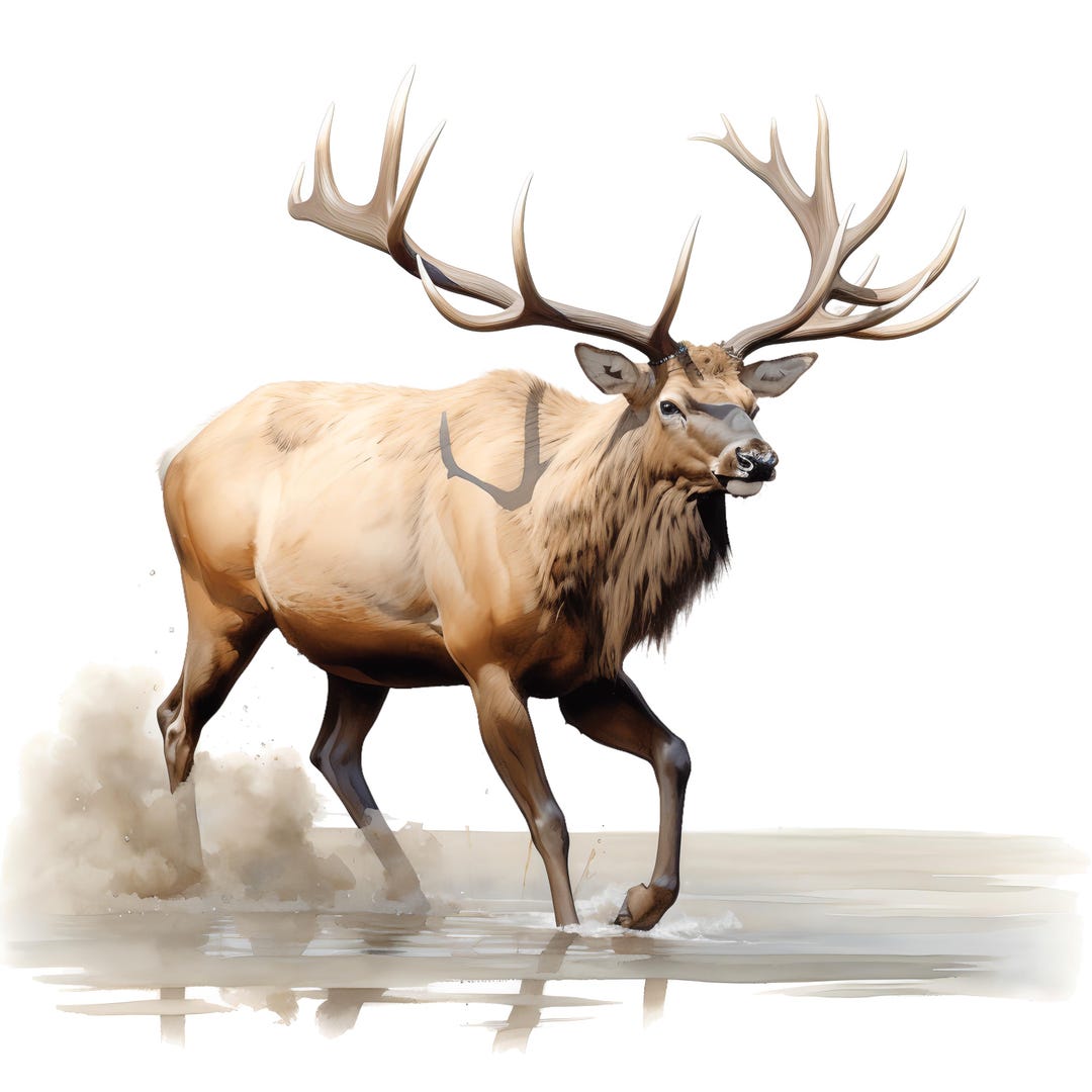 4x Moose Sticker Set, 4 Pieces, Watercolor Car Stickers, Majestic ...