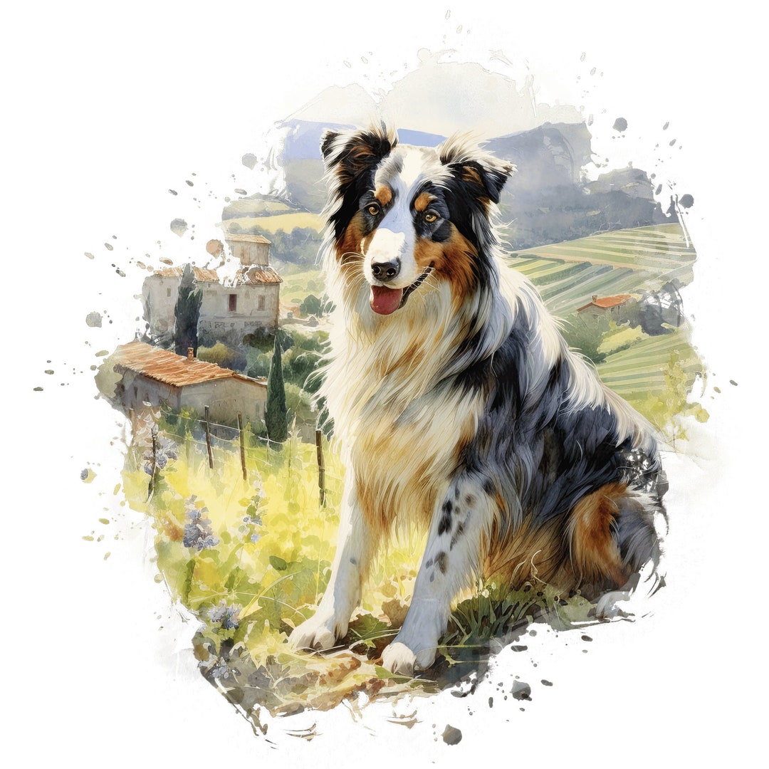 2X Australian Shepherd Car Stickers Dog Stickers Etsy