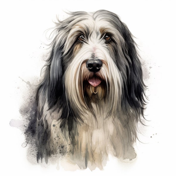 Bearded Collie Auto Aufkleber Hunde Sticker