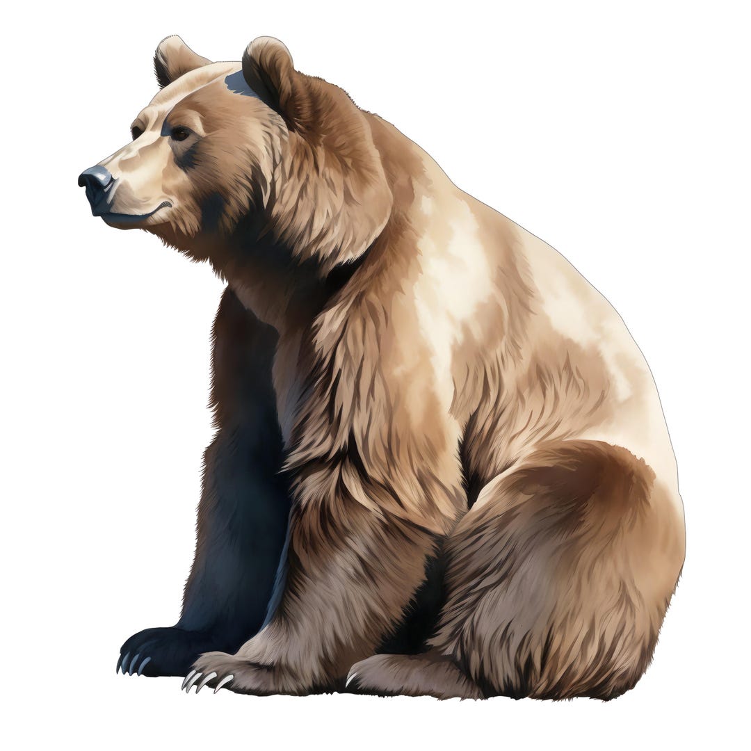 5X Grizzly Bear Stickers Realistic Bear Car Stickers Wilderness Nature ...
