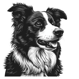 Border Collie Car Sticker – Weatherproof Dog Sticker for Car Window Laptop – Gift Idea for Border Collie Lovers & Fans