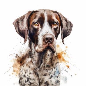 May include: A watercolour painting of a German Shorthaired Pointer dog. The dog has brown and white spotted fur, with brown ears and a brown nose. The dog's eyes are yellow. The background has brown and blue watercolour paint splatters.