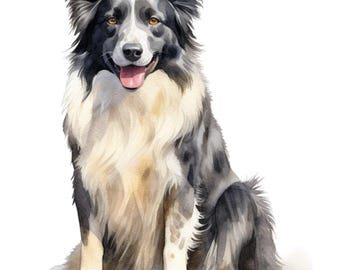 Border Collie Car Sticker – Weatherproof Dog Sticker for Car Window Laptop – Gift Idea for Border Collie Lovers & Fans
