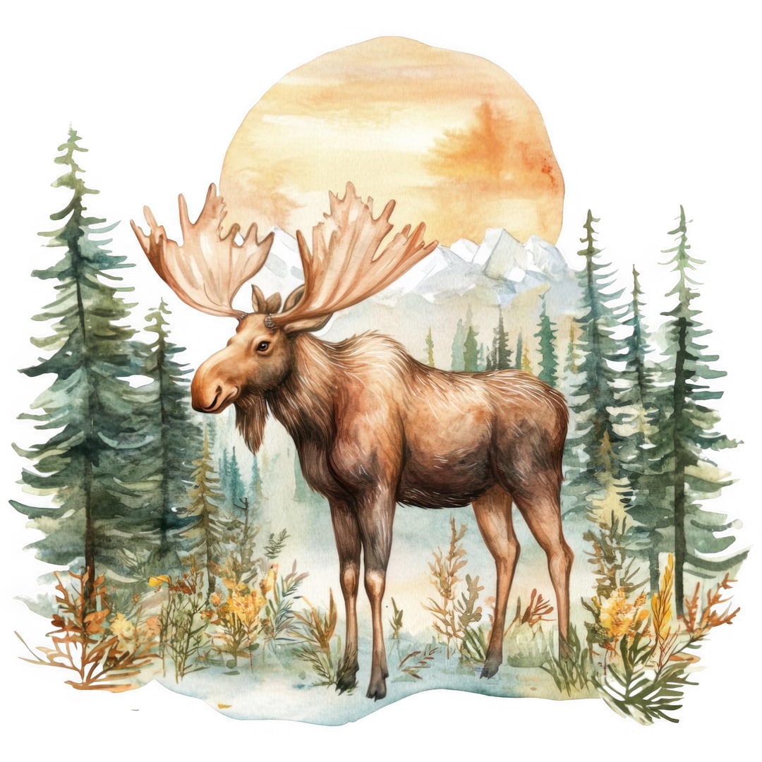 Moose Sticker Set Multipack Watercolor Car Stickers 9 X 9 Cm Woodland ...